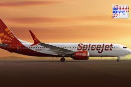 Delhi-Kathmandu SpiceJet Flight: दिल्ली-काठमांडू स्पाइसजेट विमान परतले; टेलपाइपला आग लागल्याचा संशय