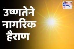 राज्यात उन्हाचा तडाखा वाढला