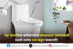 ‘या’ कंपनीतील कर्मचाऱ्यांना वॉशरूमला जाण्यासाठी घ्यावी लागेल HR कडून परवानगी! काय आहे Toilet Break Policy? जाणून घ्या