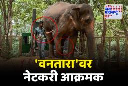 Madhuri Elephant : महादेवी हत्तीण ‘वनतारा’त दाखल; पहिला फोटो पाहून नेटकरी आक्रमक