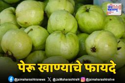 पेरूचा आरोग्यासाठी होणारा फायदा तुम्हाला माहिती आहे का?