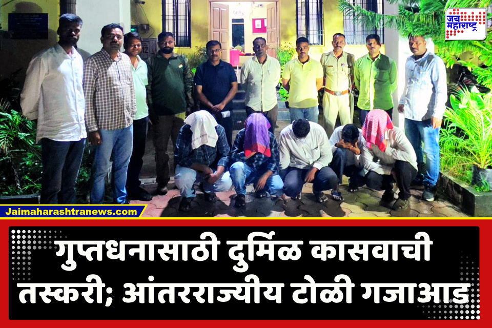 पैशाचा पाऊस अन् गुप्तधनाचे आमिष! दुर्मिळ कासवाची तस्करी करणारी आंतरराज्यीय टोळी जाळ्यात; LCB कडून 5 जण जेरबंद