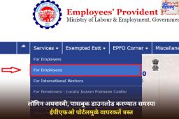 EPFO Portal Login Failure Issue: लॉगिन अयशस्वी, पासबुक डाउनलोड करण्यात समस्या; ईपीएफओ ​​पोर्टलमुळे वापरकर्ते त्रस्त