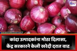 Onion Price Hike: कांदा उत्पादक शेतकरी होणार मालामाल; सरकारकडून खरेदी दरात वाढ; प्रति क्विंटलला किती मिळणार भाव?