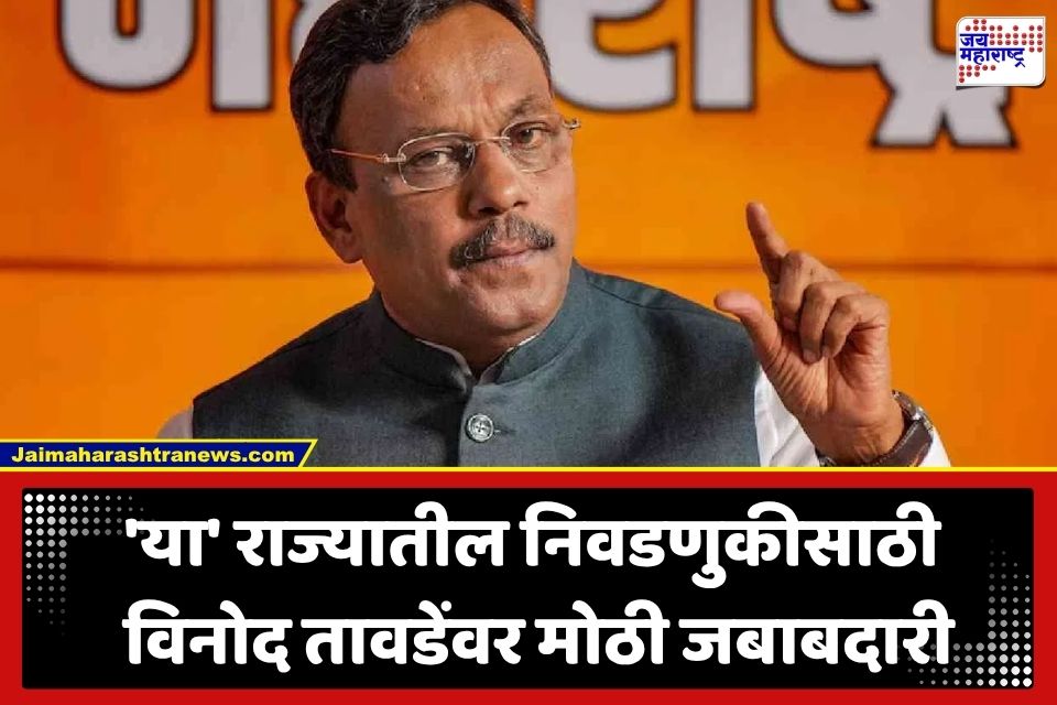 Vinod Tawde : विधानसभा निवडणुकांसाठी भाजपची नवी रणनीती; विनोद तावडेंकडे दिली ‘ही’ मोठी जबाबदारी