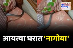नागपूरच्या जैस्वालनगरमधील घटना; बेडच्या उशीखाली नाग आल्याने खळबळ