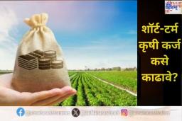 Short-Term Agricultural Loan: शॉर्ट-टर्म कृषी कर्ज कसे काढावे? काय आहेत याचे फायदे? जाणून घ्या