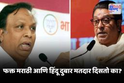 Aashish Shelar On Thackeray Bandhu :  ‘सत्याचा मोर्चा’तील मतदार यादी प्रकरणावरुन आशिष शेलारांचा महाविकास आघाडीवर निशाणा
