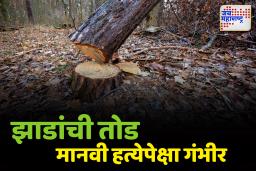 झाडांची तोड मानवी हत्येपेक्षा गंभीर, प्रति झाड एक लाख रुपये दंड
