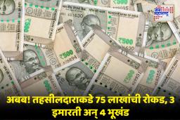 Vigilance Dept. Raid : भ्रष्ट अधिकाऱ्याचा बेहिशोबी कारभार; वरिष्ठ प्रयोगशाळा सहाय्यक ते करोडपती तहसीलदार होण्यापर्यंत मजल