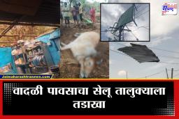 Wardha Rain : वर्ध्यात अवकाळीचा कहर! 300 कोंबड्या ठार, बैलजोडीवर वीज, एका झटक्यात लाखोंच नुकसान…