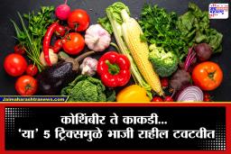 Vegetable Storage Tips: आठवड्याभरात भाजी खराब होते? ‘या’ 5 ट्रिक्स वापरा आणि भाजी ठेवा 2 आठवडे टवटवीत
