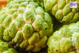 Custard Apple Benefits: सीताफळ खाण्याचे ‘हे’ फायदे तुम्हाला माहिती आहेत का?