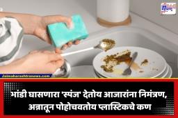 Kitchen Sponge Bacteria: सावधान! भांडी घासण्याचा स्पंज पसरवतोय धोकादायक जिवाणू अन् मायक्रोप्लास्टिक्स; संशोधनातून धक्कादायक खुलासा