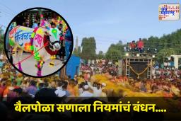 Bail Pola 2025: बैलपोळा सण साजरा करतायं; जाणून घ्या हे महत्त्वाचे निर्देश