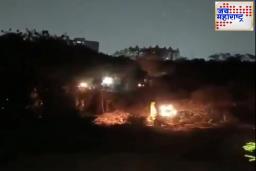 Kancha Gachibowli Forest: पाच लाख नोकऱ्यांसाठी 400 एकरची जंगलतोड; काय आहे कांचा गचिबोवली वृक्षतोड प्रकरण?