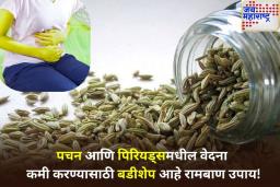 Fennel Seeds Benefits: बडीशेपची ‘ही’ खास जात मासिक पाळीच्या वेदनांपासून देईल आराम; जाणून घ्या सेवन करण्याची योग्य पद्धत