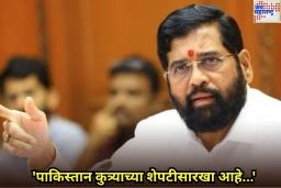 ‘पाकिस्तान कुत्र्याच्या शेपटीसारखा आहे…’; शस्त्रसंधी उल्लंघनानंतर एकनाथ शिंदेंची प्रतिक्रिया