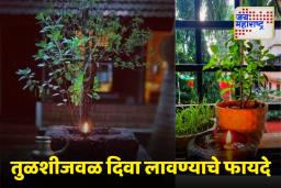 Tulsi Upaay: संध्याकाळी तुळशीजवळ दिवा लावल्याने हे 5 फायदे मिळतील