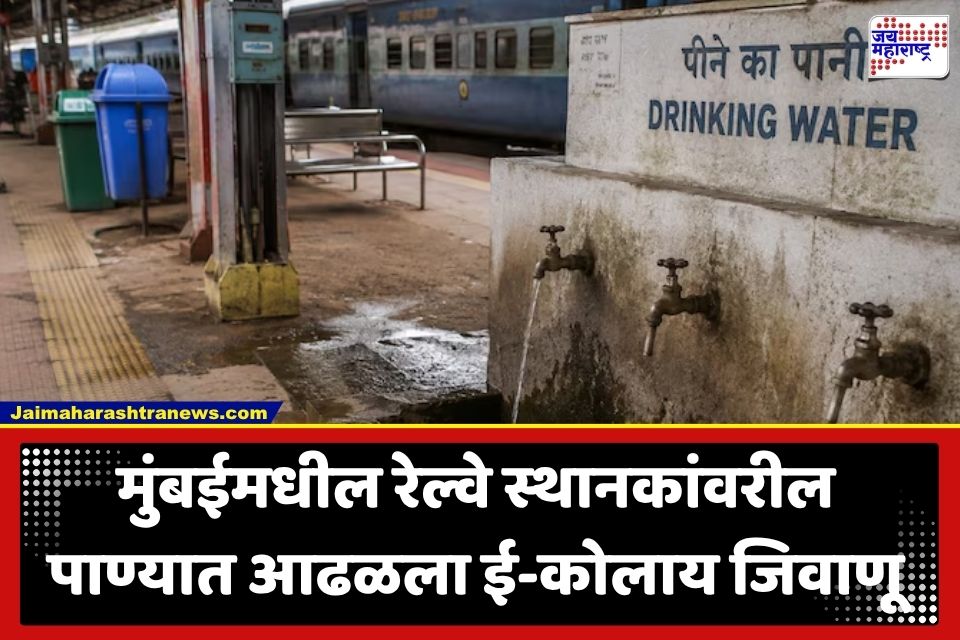 E. Coli Bacteria: रेल्वे स्थानकावरील पाणी पिताय? मुंबईमधील ‘या’ स्थानकांवर पाण्याच्या टाकीत आढळला जीवघेणा ई-कोलाय जिवाणू
