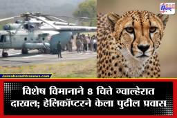 Kuno Cheetah : आफ्रिकेतील चित्ते मध्य प्रदेशच्या कुनो नॅशनल पार्कमध्ये; आणखी 8 चित्त्यांसह भारतातली संख्या आता 48 वर