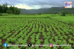 क्षारपड योजनेची मान्यता रद्द