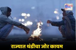 Maharashtra Cold Wave: महाराष्ट्रात हाडं गोठवणारी थंडी; ‘या’ जिल्ह्यांसाठी कडक थंडीचा इशारा