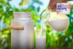 Cow Milk VS Buffalo Milk: रात्री झोपण्यापूर्वी गाईचे दूध प्यावे की म्हशीचे? जाणून घ्या