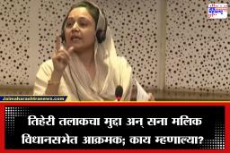 Sana Malik: सना मलिक विधानसभेत आक्रमक, तिहेरी तलाकचा मुद्दा पेटला;  नेमकं काय घडलं?