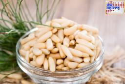 Pine Nuts Benefits: पाईन नटस् आहेत अत्यंत पौष्टिक; नेहमी खाण्याने मिळतील जबरदस्त फायदे
