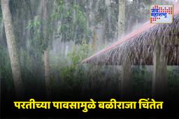 Maharashtra Weather Alert : पुढील चार दिवस धोक्याचे, शेतकऱ्यांचीही चिंता वाढली, ‘या’ राज्यांना यलो अलर्ट