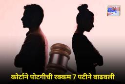 HC On Alimony Case: हजारो कोटींचा मालक, पण पोटगीसाठी गरीब असल्याचा दावा; कोर्टाने दिला मोठा दणका