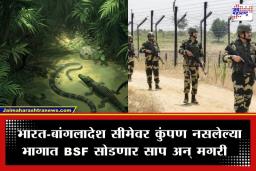 BSF Border Strategy: भारत-बांगलादेश सीमेवर आता ‘नॅचरल गार्ड्स’ची गस्त; घुसखोरी रोखण्यासाठी BSF तैनात करणार साप आणि मगरी