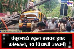 Chembur: क्षणात होत्याचं नव्हतं! चेंबूरमध्ये शाळकरी मुलांच्या बसवर झाड कोसळलं; 10 जण गंभीर, एका चिमुकल्याचा मृत्यू