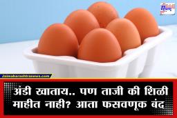 Egg Expiry Date : आता अंड्यावरही असणार ‘एक्सपायरी डेट’! ‘या’ राज्याचा मोठा निर्णय; शिळी अंडी विकणाऱ्यांचे धाबे दणाणले