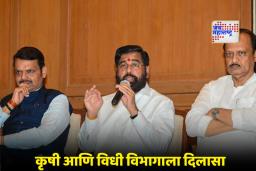 Maharashtra Winter Session: मिलिंद साठे महाधिवक्ता, शेतकऱ्यांना आर्थिक दिलासा; हिवाळी अधिवेशनाआधी सरकारचे दोन मोठे निर्णय