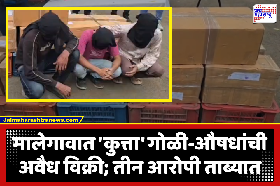 Malegaon Kutta Pills Seizure : मालेगावात नशेखोरीचा साठा! ‘कुत्ता’ गोळी विक्रेत्यांवर पोलिसांची कारवाई; कफ सिरपच्या 1,200 बाटल्या, तर 67 हजार गोळ्या जप्त