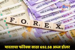 India Forex Market: भारताचा परकीय चलनसाठा वाढला; सोन्याच्या मूल्यातील वाढीमुळे फॉरेक्सची स्थिती भक्कम