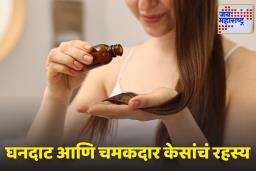 Homemade Hair Oil: नैसर्गिक घटकांपासून बनवा केस वाढवणारं ‘हे’ हर्बल तेल, जाणून घ्या सोपी पद्धत