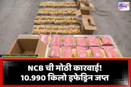 NCB मुंबईची मोठी कारवाई; न्यूझीलंडला पाठवण्यात येणारे 10.990 किलो इफेड्रिन जप्त, चेन्नईतील आरोपी अटकेत