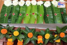 Mango Leaf Toran Benefit: घराच्या प्रवेशद्वारावर आंब्याच्या पानांचे तोरण का बांधले जाते?, धार्मिकबरोबरच आरोग्यासाठी फायदेशीर