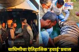 Tigress Airlifted : प्रथमच वाघिणीला एअरलिफ्ट करण्यासाठी भारतीय हवाई दलाच्या एमआय-17 हेलिकॉप्टरचा वापर; वाघिणीचे पेंचमधून राजस्थानला स्थलांतर
