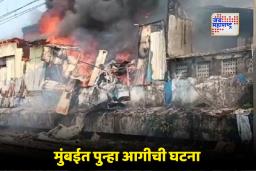 Dharavi Fire Incident: रेल्वे लाईनजवळील धारावी झोपडपट्टी येथे भीषण आग; रेल्वेसेवेवर परिणाम