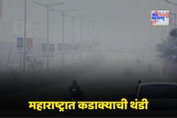 Maharashtra Cold Wave: महाराष्ट्रात थंडीचा कहर! 14 जिल्ह्यांना IMDचा तीव्र थंडीचा इशारा; पारा 7 अंशांखाली