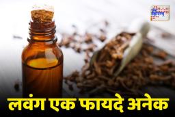 Clove oil Benefits: लवंगाचे तेल दातदुखीसाठी गुणकारी