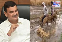 Maharashtra: शेतकऱ्यांना दिलासा! अतिवृष्टीमुळे झालेल्या नुकसानीवर सरकारकडून आर्थिक मदत; कृषिमंत्री दत्तात्रय भरणे यांची घोषणा