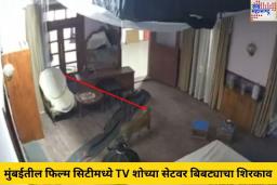 Mumbai Film City मध्ये बिबट्याची दहशत! AICWA ने केली सरकारकडून त्वरित कारवाईची मागणी, पहा व्हिडिओ