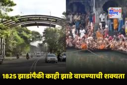 Nashik Kumbh Mela: साधुग्राम प्रकल्पाला नाशिककरांचा ठाम विरोध! साधुग्रामसाठी किती झाडे तोडणार आणि किती वाचणार? महत्त्वाची माहिती समोर