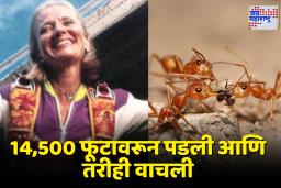 Skydiving Survival Story: 14500 फुटांवरुन पडली पण मुंग्यांमुळे वाचला जीव, नेमकं प्रकरण काय? वाचा सविस्तर