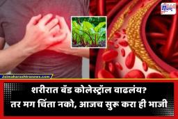 Bad Cholesterol Control: सायलेंट किलर ठरू शकतं ‘बॅड कोलेस्ट्रॉल’; आजच आहारात करा ‘या’ भाजीचा समावेश, राहाल एकदम फिट